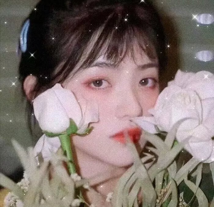 笙歌满丽池